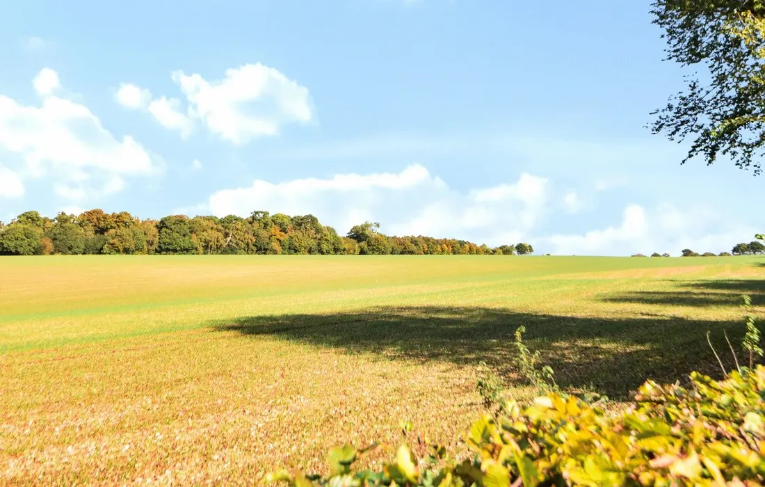 4 bedroom house for sale