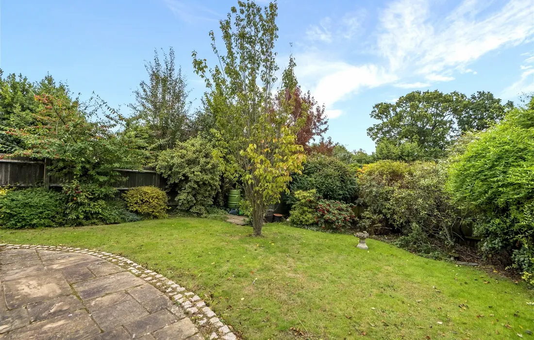 3 bedroom house to rent