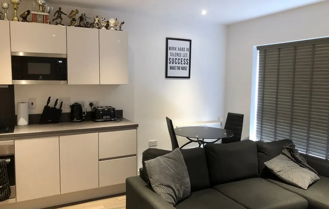 1 bedroom apartment to rent