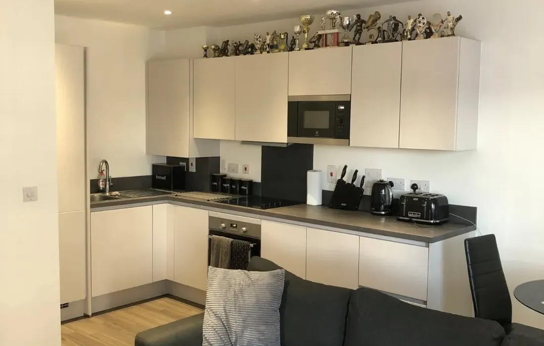 1 bedroom apartment to rent