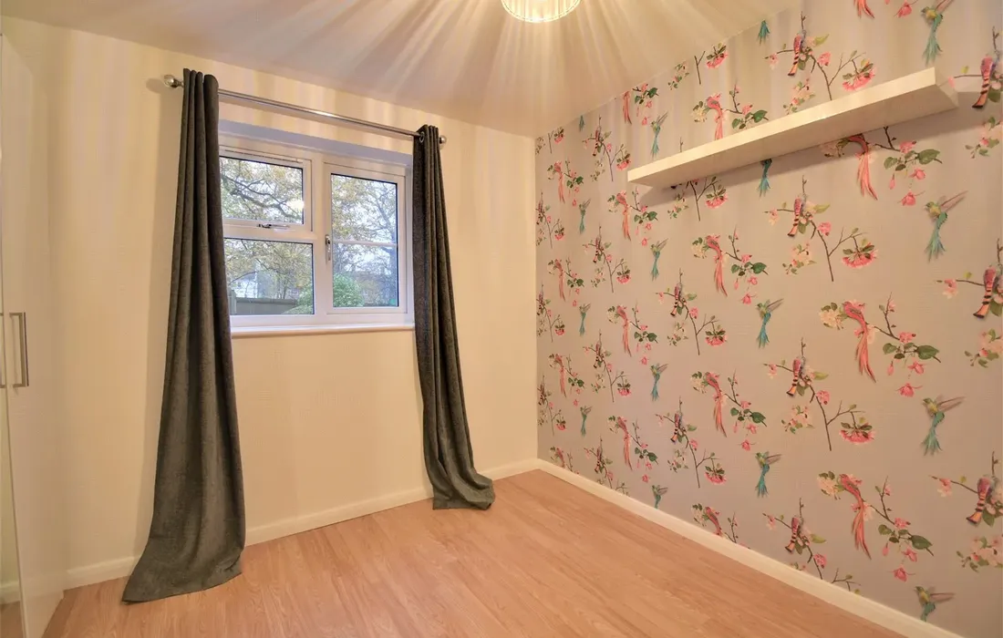 1 bedroom apartment to rent