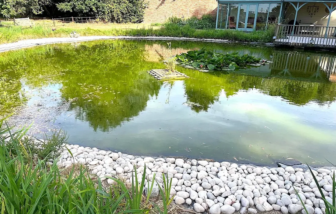 5 bedroom house for sale