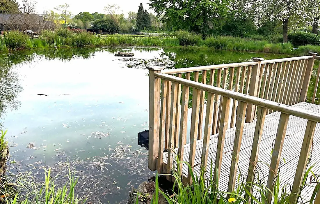 5 bedroom house for sale