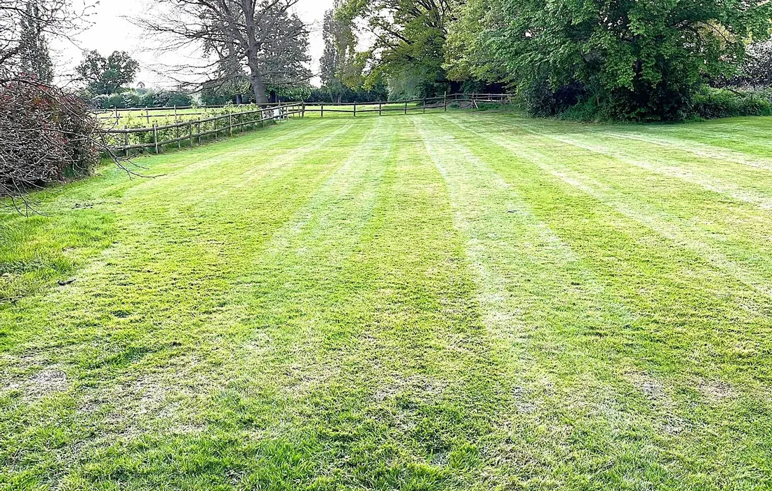 5 bedroom house for sale