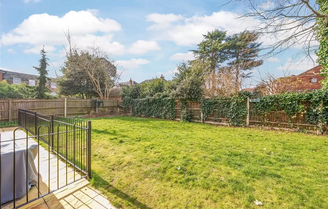 1 bedroom apartment to rent