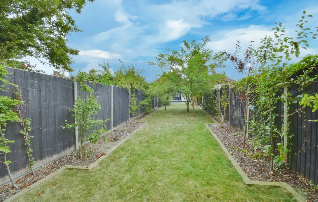 3 bedroom house to rent