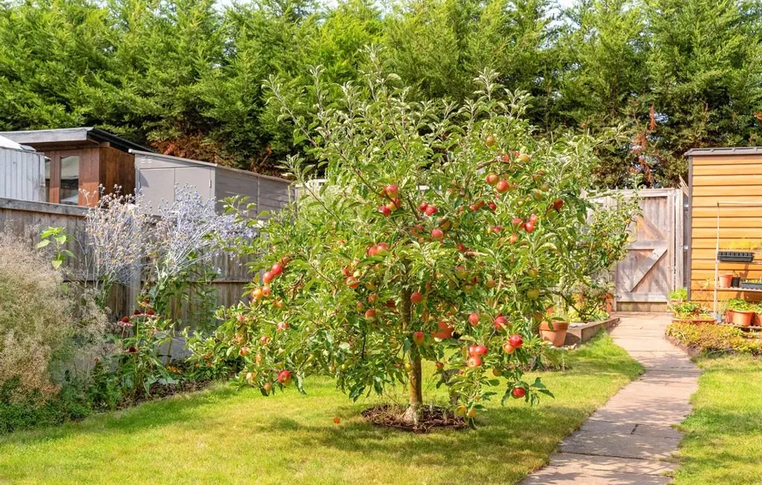 2 bedroom house for sale