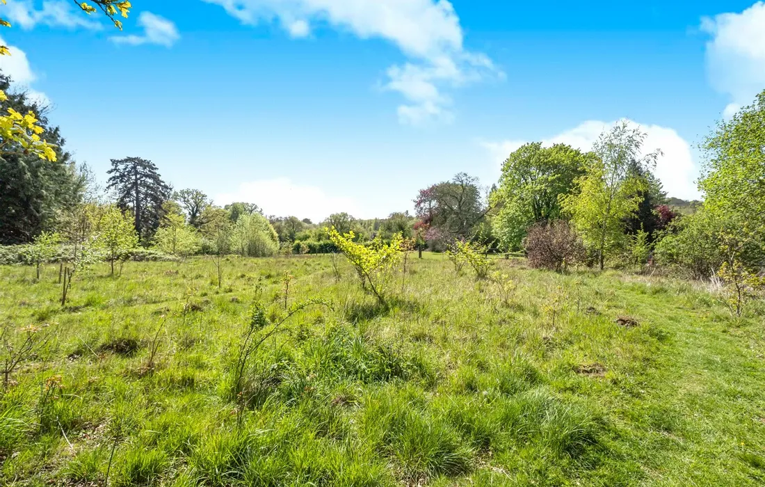 3 bedroom house for sale