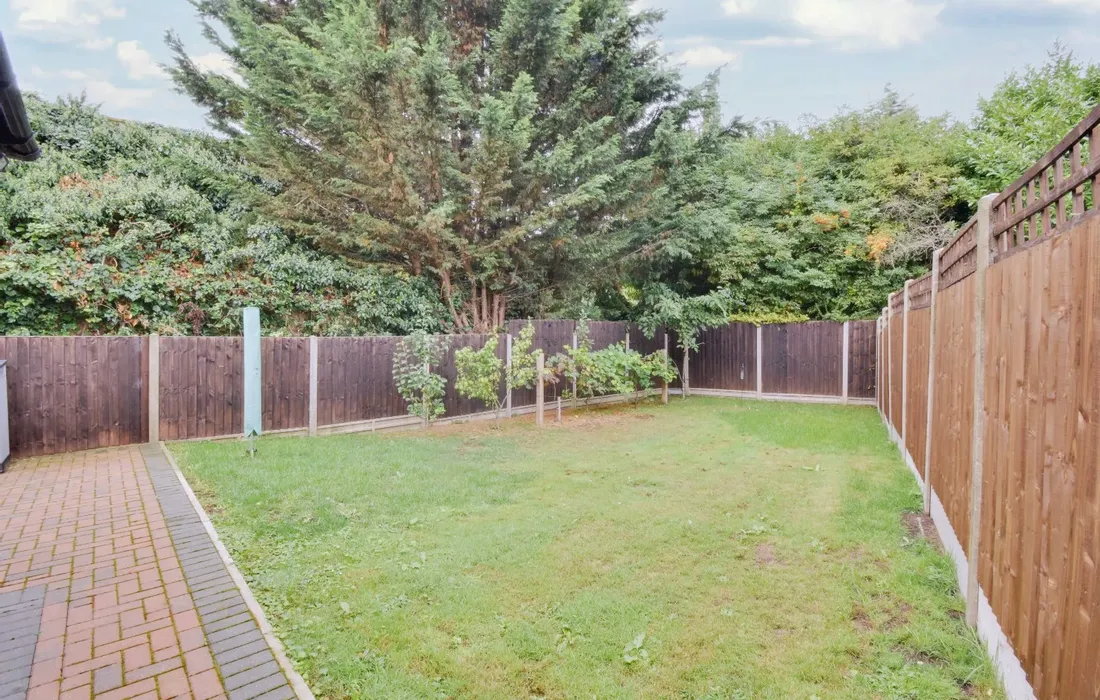 3 bedroom house to rent