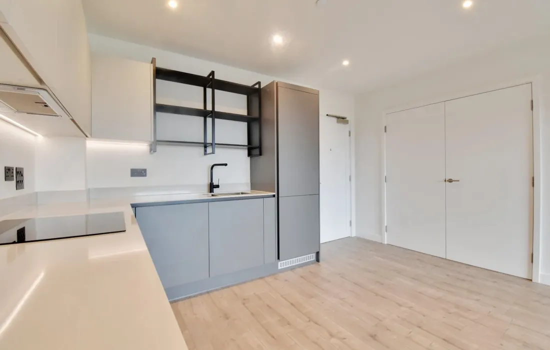 1 bedroom apartment to rent