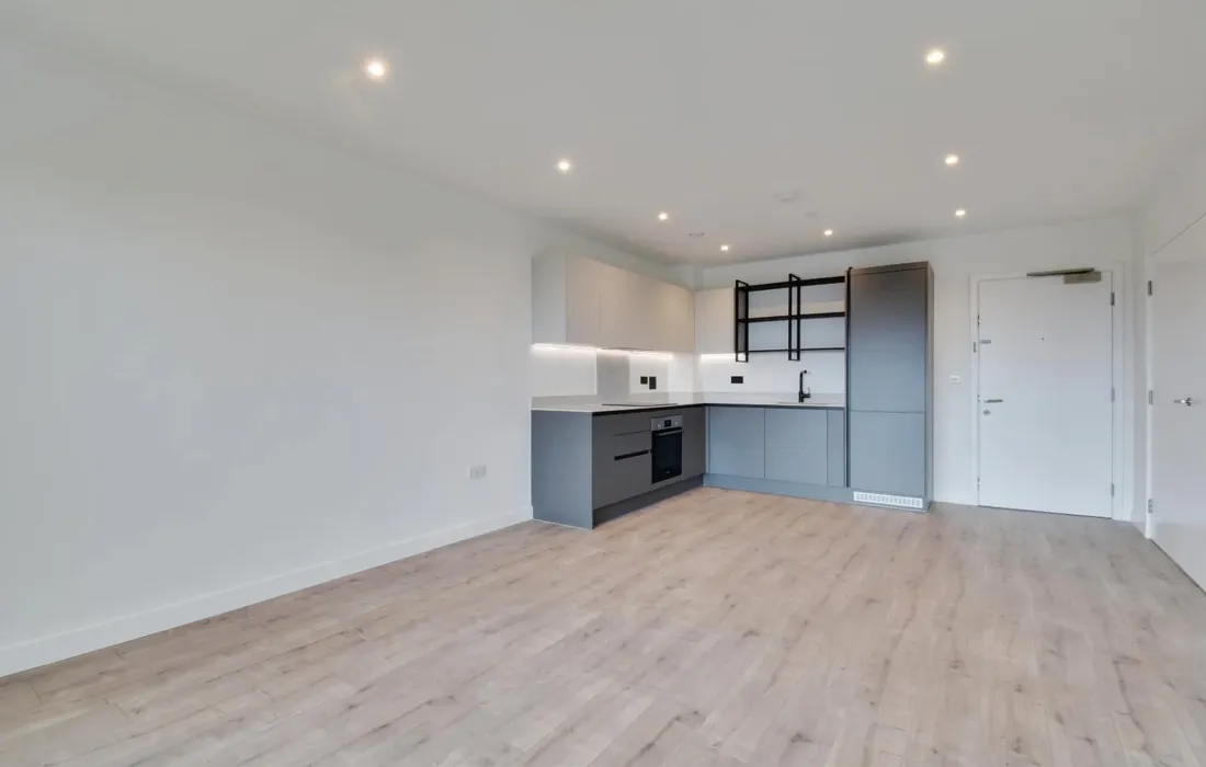 1 bedroom apartment to rent