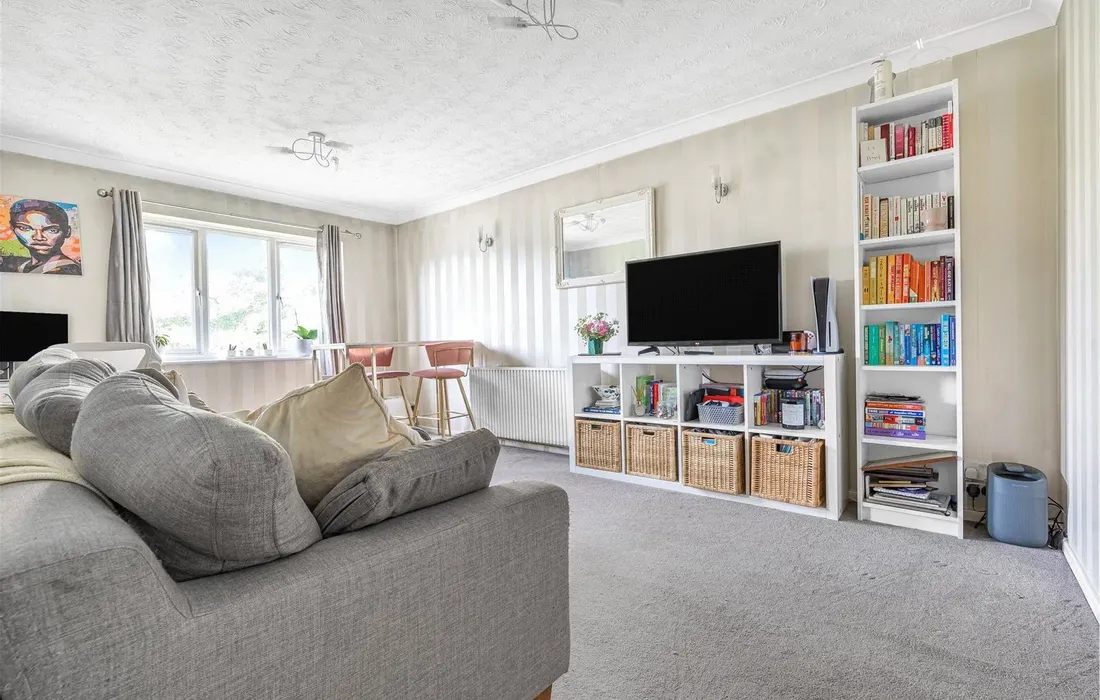 1 bedroom apartment to rent