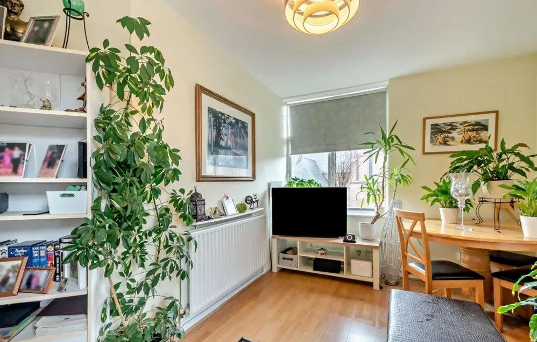 1 bedroom apartment for sale