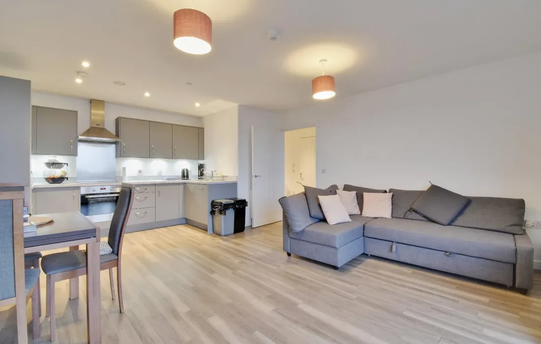 1 bedroom apartment to rent